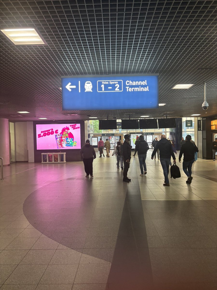 Dagmar Divjak tweet media