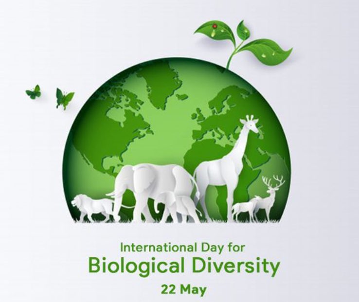 WildWithWheels tweet media