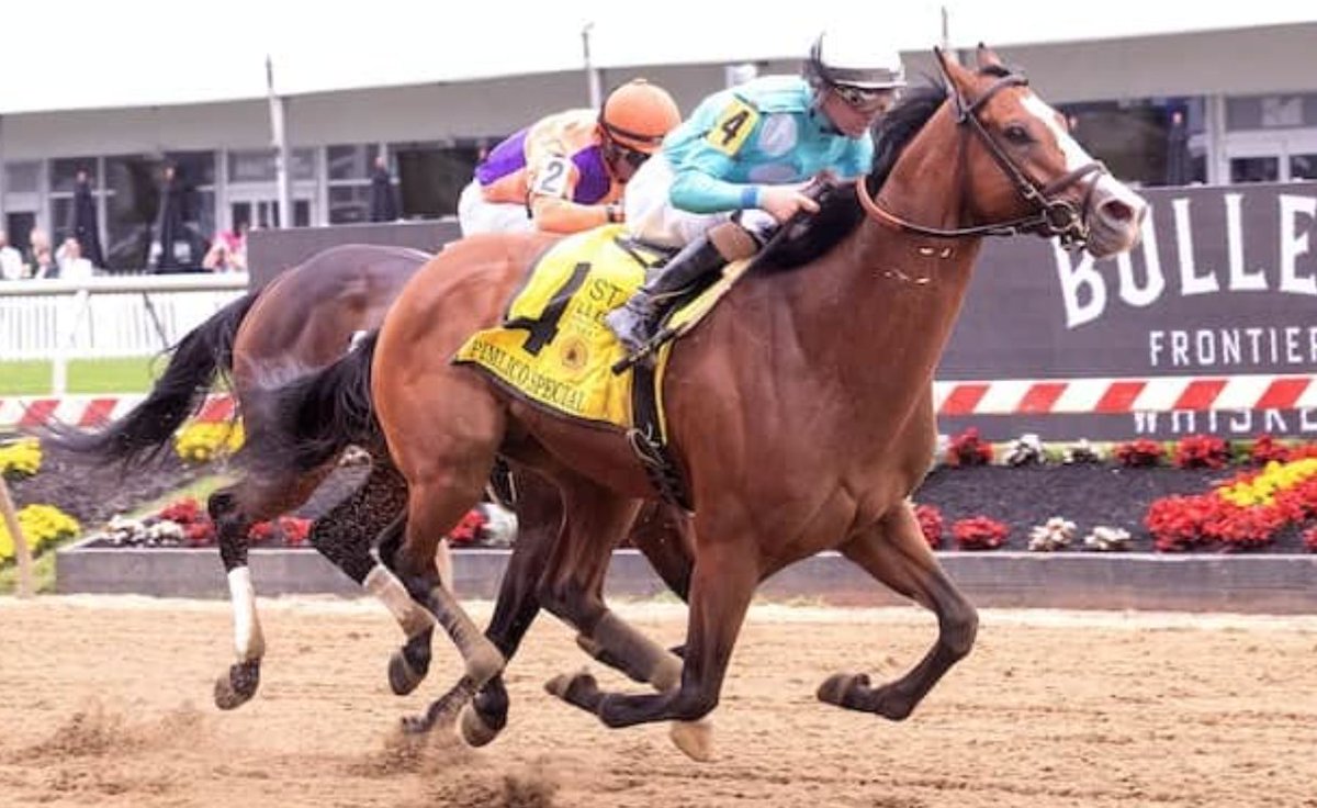 Barn Tour: @reredevaux, winner of 3 stakes at Pimlico on Friday, updates on 13 runners in her stable. horseracingnation.com/news/Barn_Tour… 📸: Maryland Jockey Club