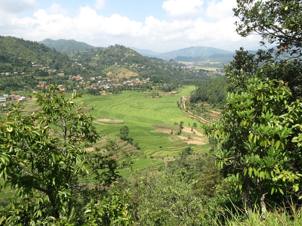 DICE Kent (@dice_kent) on Twitter photo 3/ PhD studentship on “Socioeconomic and equity implications of other effective area-based conservation measures in community-managed forests🌳🇳🇵”
Supervised by Dr Mahesh Poudyal (DICEl), co-supervised by Dr <a href="/mattstruebig/">Matthew Struebig</a> (DICE) and Dr Naya Sharma Paudel (Forest Action, Nepal) 3/ PhD studentship on “Socioeconomic and equity implications of other effective area-based conservation measures in community-managed forests🌳🇳🇵”
Supervised by Dr Mahesh Poudyal (DICEl), co-supervised by Dr <a href="/mattstruebig/">Matthew Struebig</a> (DICE) and Dr Naya Sharma Paudel (Forest Action, Nepal)