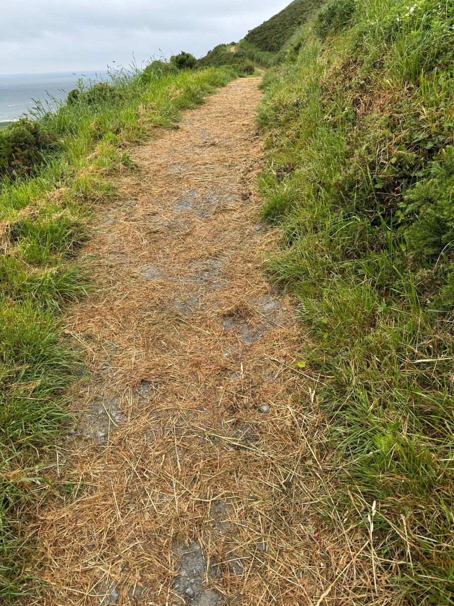 Alan_yn_Aber's tweet image. May be in progress. Any chance of getting the slippy dry grass that's been cut &amp;amp; dropped, removed/blown from Pendinas? It's left on the hard footpaths from #Penparcau to #Trefechan &amp;amp; lower accessible paths👍

@CarlWorrall @CeredigionCC
#HillfortsWedensday #Wellbeing #Access #Aber