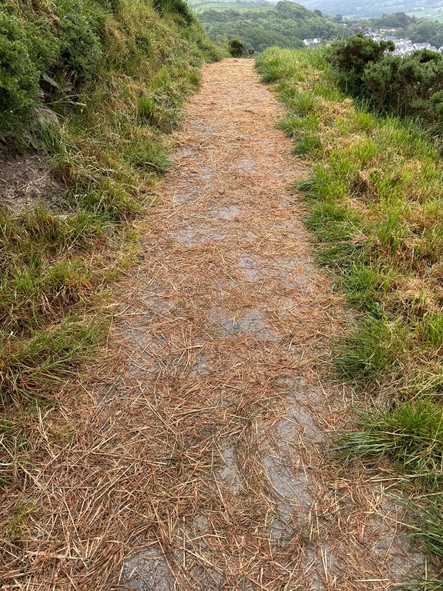 May be in progress. Any chance of getting the slippy dry grass that's been cut & dropped, removed/blown from Pendinas? It's left on the hard footpaths from #Penparcau to #Trefechan & lower accessible paths👍

@CarlWorrall @CeredigionCC
#HillfortsWedensday #Wellbeing #Access #Aber
