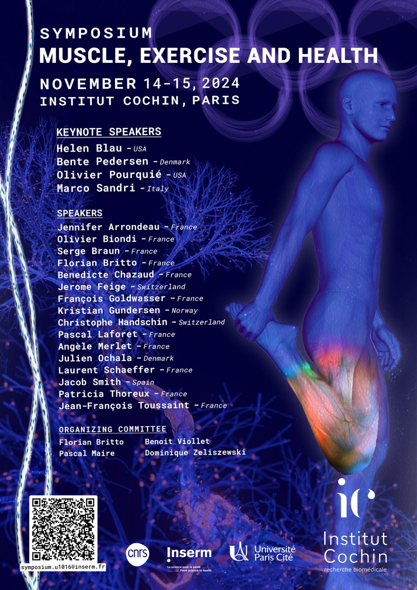 Symposium @InstitutCochin 'Muscle, Exercise and Health' on November 14 & 15, 2024 in Paris. Registration are open. institutcochin.fr/en/animation/s…… @InsermIDF @Inserm @CNRSbiologie @CNRS_Villejuif @univ_paris_cite @UP_Medecine @HopitalCochin