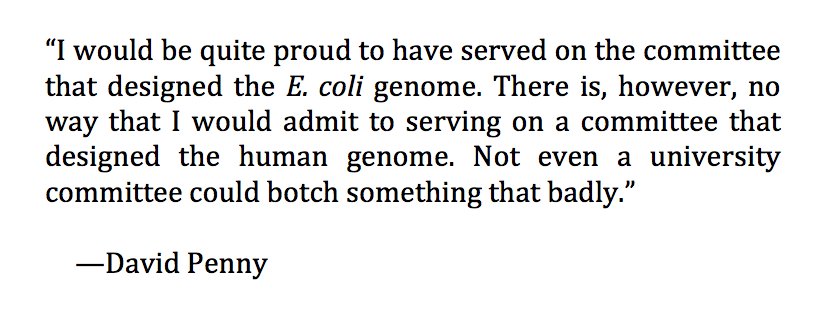 Andrew Clarke (@aclarkenz) on Twitter photo My PhD supervisor, David Penny, passed away earlier this week and I've been reflecting a lot. He was a titan of evolutionary biology and science, both inside NZ and globally. He was also just one of the best human beings I've known. My PhD supervisor, David Penny, passed away earlier this week and I've been reflecting a lot. He was a titan of evolutionary biology and science, both inside NZ and globally. He was also just one of the best human beings I've known.