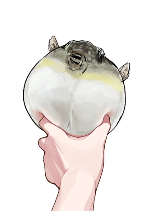 サビキ釣りしてるとよく出会う子 
