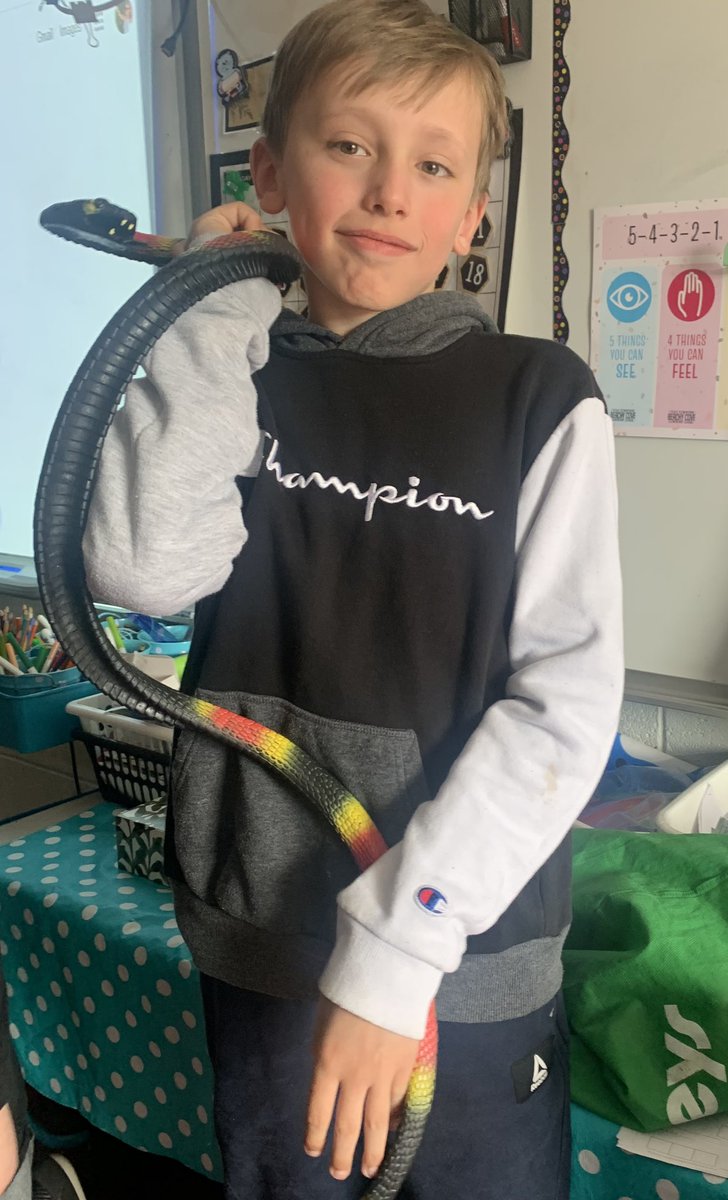 Cynthia Fillier tweet media