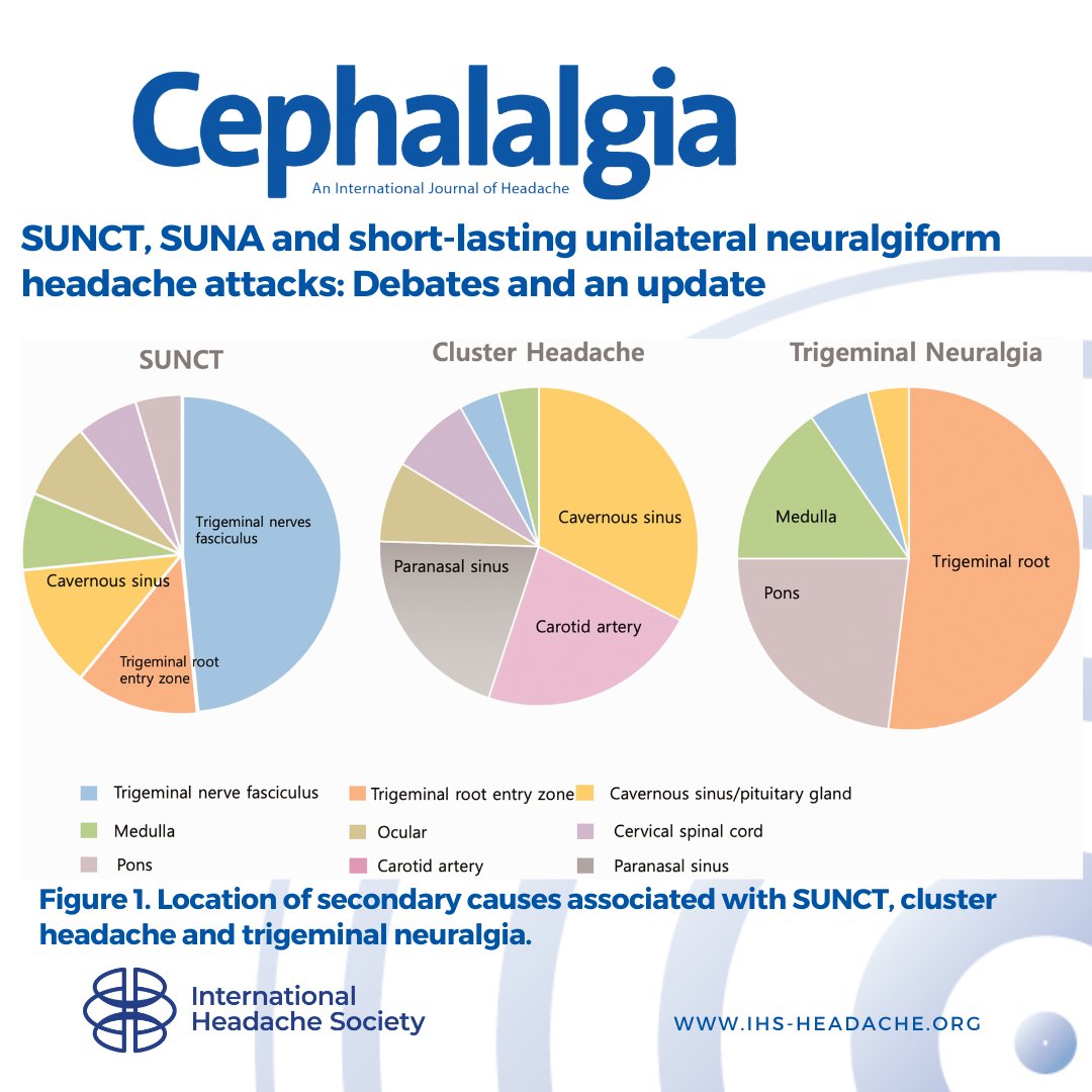 Delving into SUNCT & SUNA: Key Debates and Updates 🧠✨: Explore the latest findings and evolving concepts. This review highlights the challenges and advances in understanding and treating these rare, debilitating headaches. doi.pulse.ly/sa28gtygz4 #headache #neurology