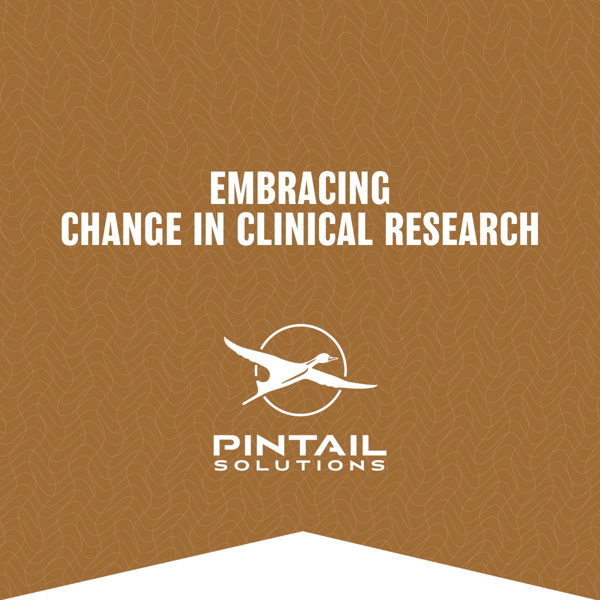 Pintail Solutions tweet media