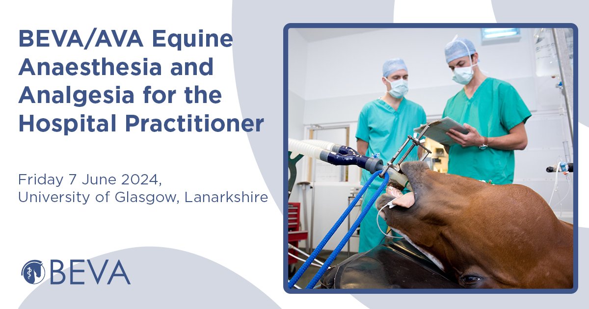 We've still got a few places on the upcoming BEVA/AVA Equine Anaesthesia and Analgesia for the Hospital Practitioner. 📆 Friday 7 June 📍University of Glasgow Veterinary School, Glasgow 🔗 bit.ly/3T1EnzV