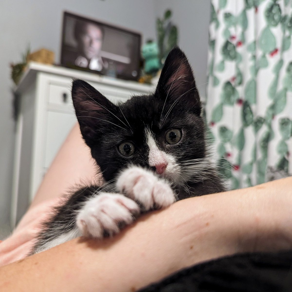 Tuesday Badell tweet media