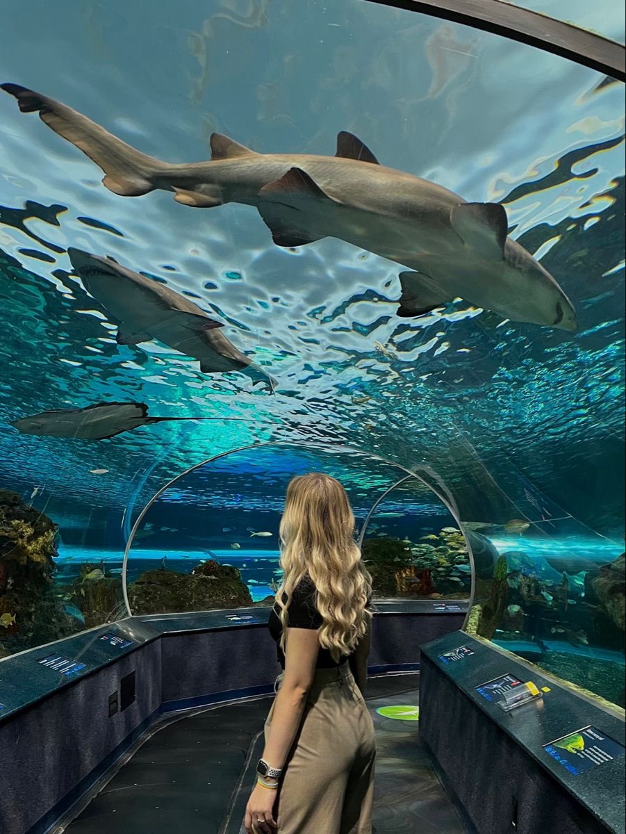 Aquarium date 🌊
