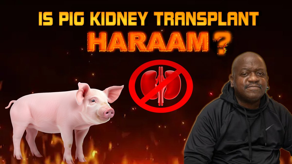 Shocking DEATH of PIG KIDNEY transplant patient | Xenotransplantation
youtube.com/watch?v=hvNQkd…

#xenotransplant #xenotransplantation #geneticallymodifiedpig #organtransplant #organdonation
#humantransplants #microlearning #geneticallymodified
#scienceconcepts #biologyteacher