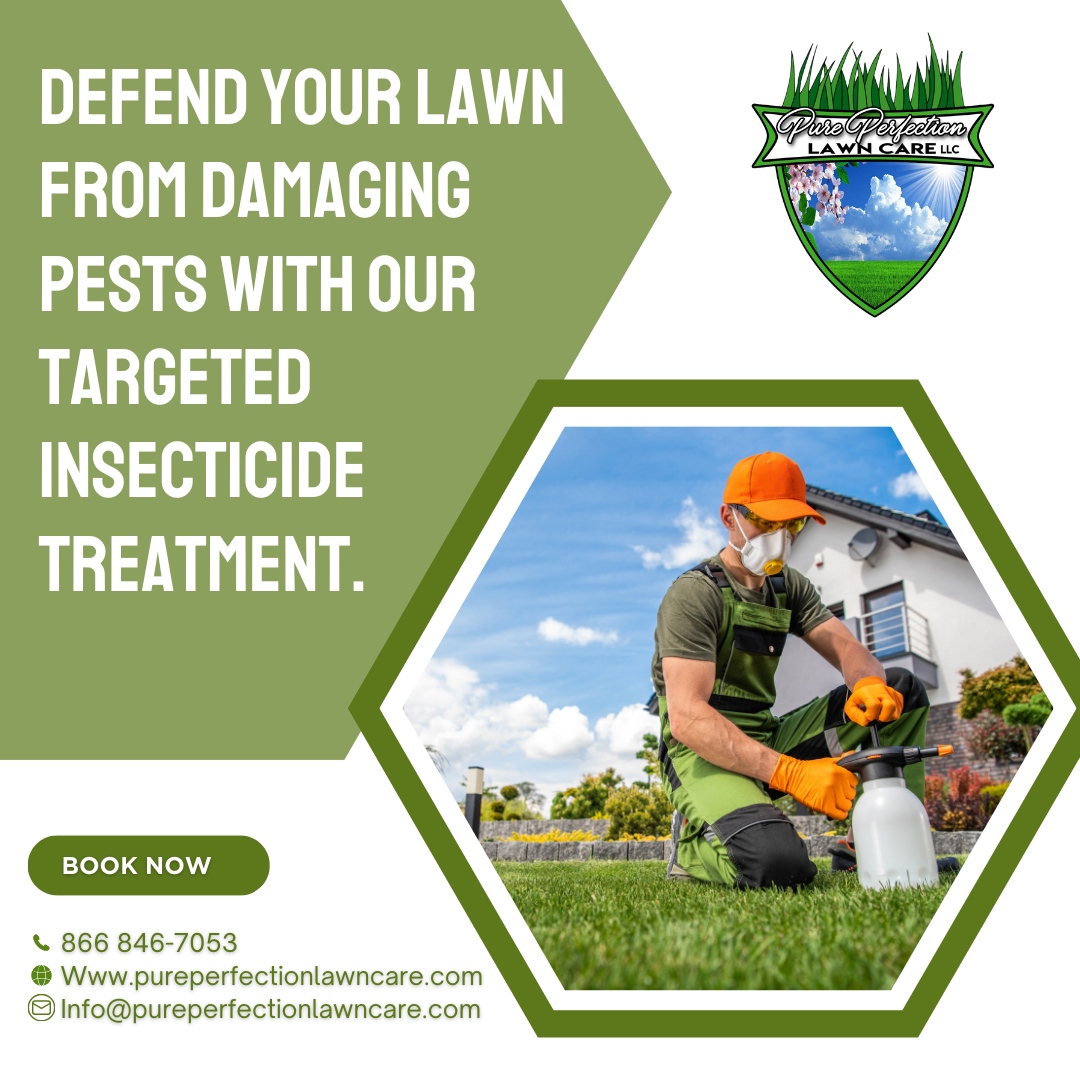 Contact us for effective pest control! 🕷️ Let's keep pests at bay and your lawn flourishing!

🌐 pureperfectionlawncare.com
📞 866 846-7053
📧 Info@pureperfectionlawncare.com

#PurePerfectionLawnCare #lawncare #landscaping #lawn #lawnmaintenance