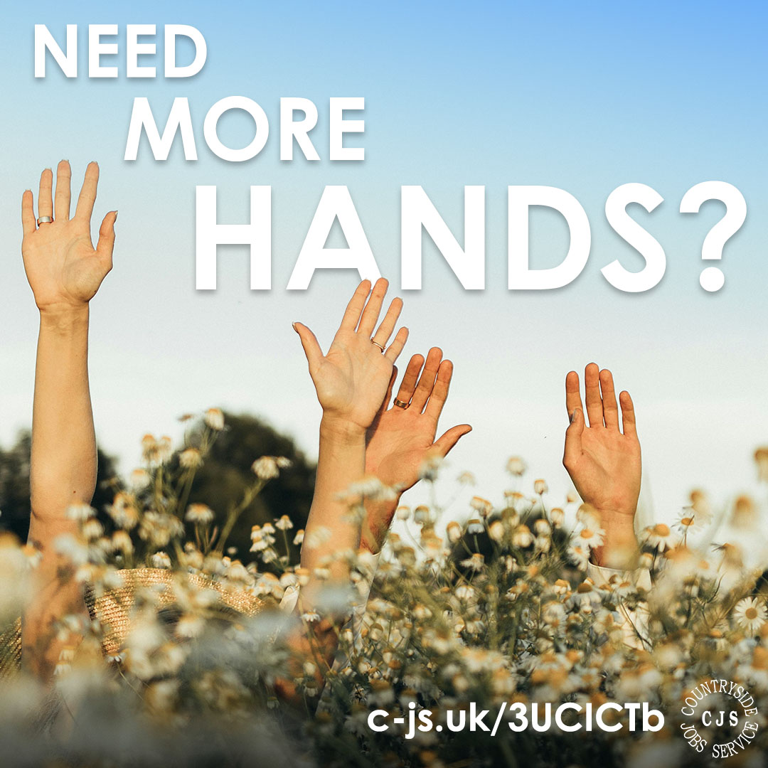 Need more hands? Volunteers are an incredibly important part of the conservation & environmental sectors so knowing that CJS offers free advertising for volunteers to any organisations working in conservation. Keep your funds for the good work you do See: c-js.uk/3UCICTb
