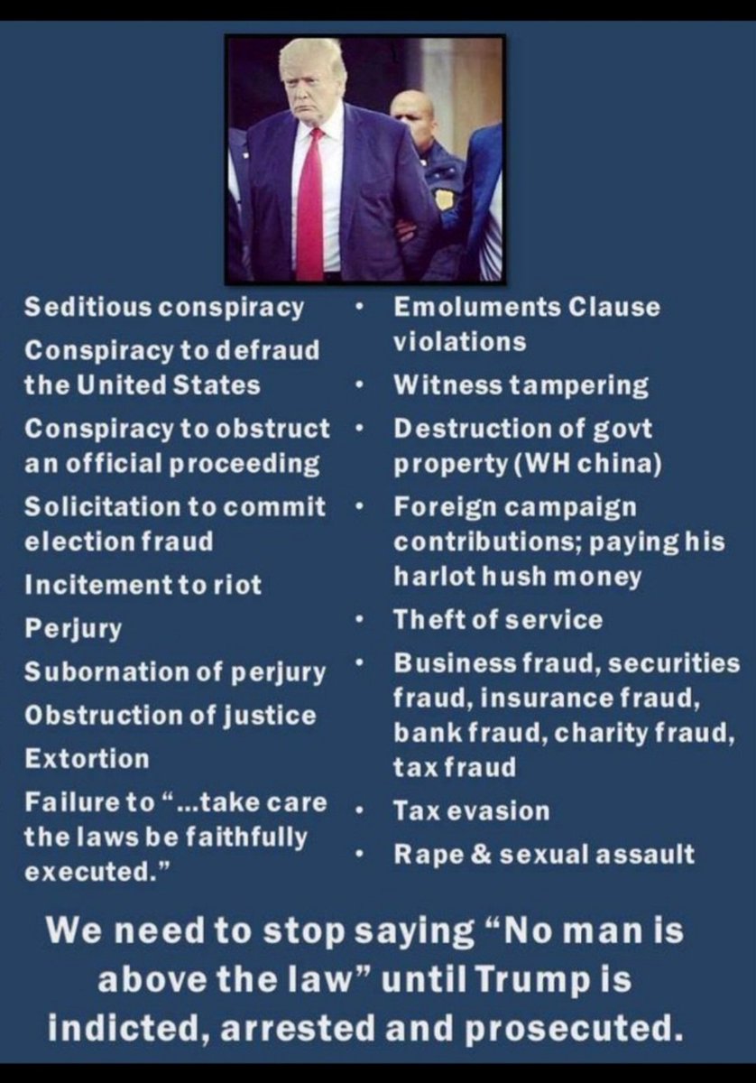 islandtelHI's tweet photo. @thejackhopkins @MAM74368780 #LockTraitorTrumpUp https://t.co/AOMwX15lQZ