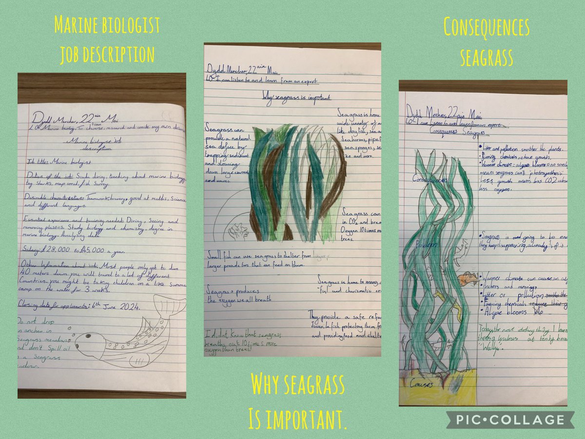 Birchgrove Primary (@birchgroveprm) on Twitter photo Today a marine biologist, Dr Chiara Bertelli, from <a href="/SwanseaUni/">Swansea University</a> came in to speak to Blwyddyn 4 about her diverse and interesting role in marine conservation. The children also learnt about seagrass and itโs vital role in storing carbon <a href="/ProjectSeagrass/">Project Seagrass</a>. Diolch! #birch24ST Today a marine biologist, Dr Chiara Bertelli, from <a href="/SwanseaUni/">Swansea University</a> came in to speak to Blwyddyn 4 about her diverse and interesting role in marine conservation. The children also learnt about seagrass and itโs vital role in storing carbon <a href="/ProjectSeagrass/">Project Seagrass</a>. Diolch! #birch24ST