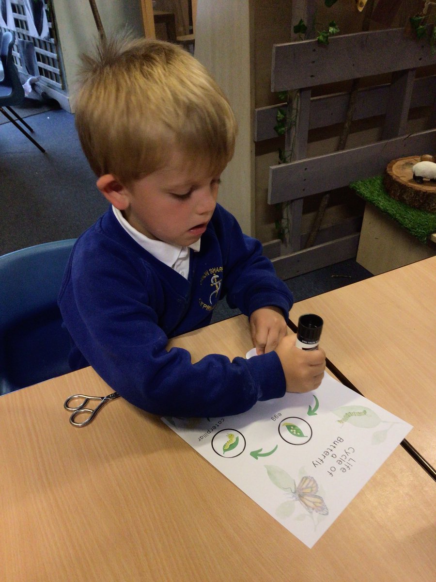 Canon_Reception's tweet image. Reception have been learning all about the life cycle of butterflies. We know about all the changes, from tiny egg, to caterpillar, to chrysalis before emerging as a beautiful butterfly 🐛🦋 @Cornerstonesedu #CreepCrawlandWriggle #EYFS @LT_Trust @CanonSharples #cspsscience