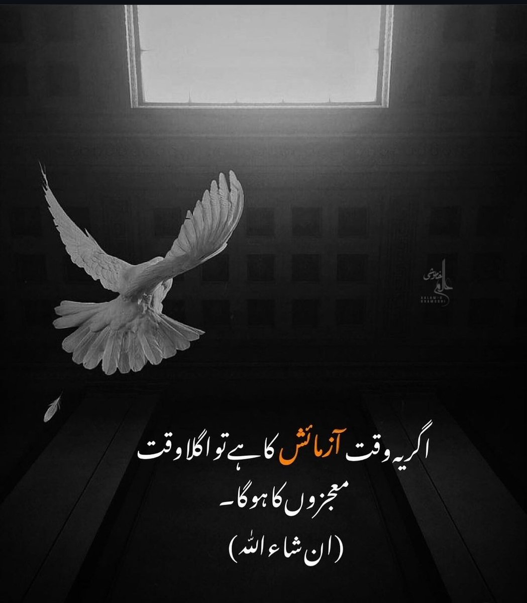 #InshaAllah

💐🕊️

#Masoom