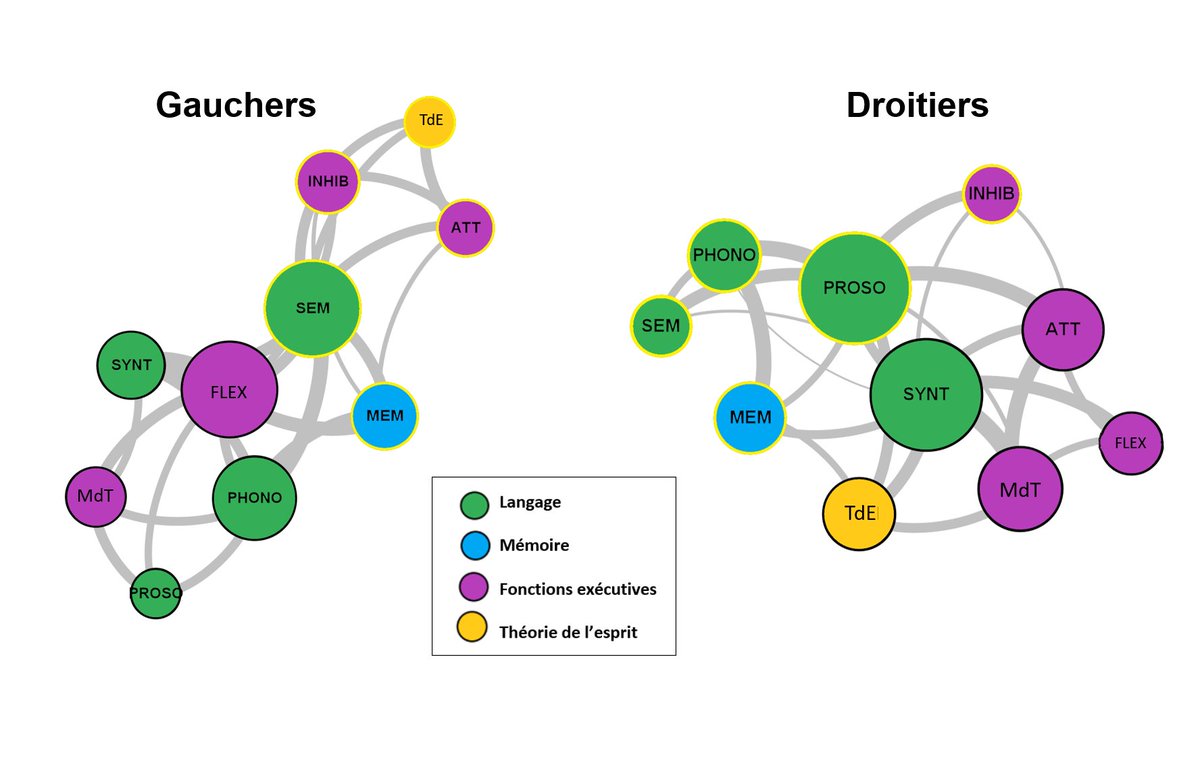 #neurocognition // ✍️90% des individus sont droitiers ! Les 10% de gauchers, ont-ils les mêmes performances ? Une étude menée au @lpnc_cnrs et publiée dans @SciReports montre des différences au niveau de l’organisation du réseau cognitif. 🔗 bit.ly/4dQxPgX