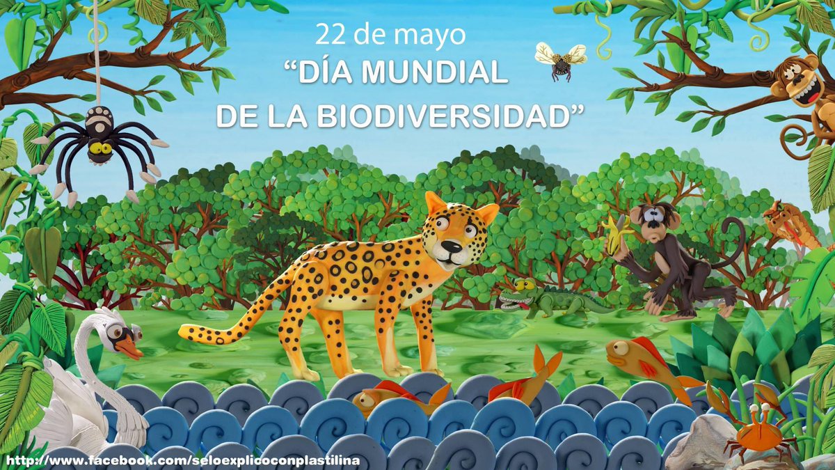 ¿Se lo explico con plastilina? tweet media