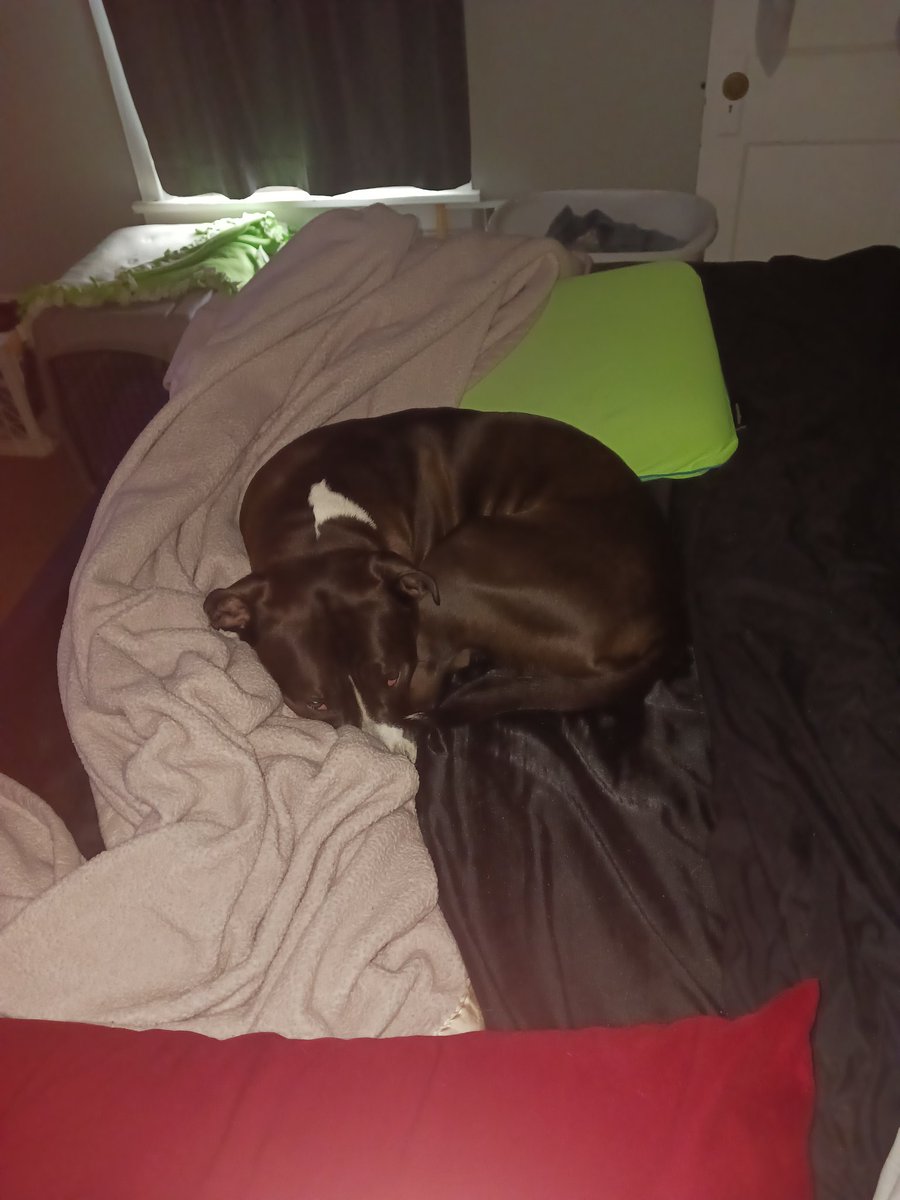 When you can't find the baby anywhere in the house it's because she's in your bed