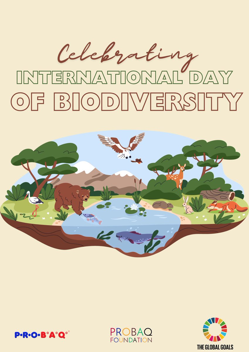 probaq_official's tweet photo. 🌿 Today, we celebrate the International Day of Biodiversity! At PROBAQ, we're committed to protecting our planet's incredible variety of life. Together, let's cherish and preserve our natural world for future generations. 🌎 #BiodiversityDay #Sustainability #PROBAQ #EcoFriendly https://t.co/UpyMyVE9Mm