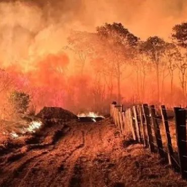 chequeibrasil's tweet photo. 🚨GRAVE: Queimadas aumentam mais de 80% no país após cortes orçamentários de combate a incêndios feitos pelo governo Lula. https://t.co/WbICx7XocO
