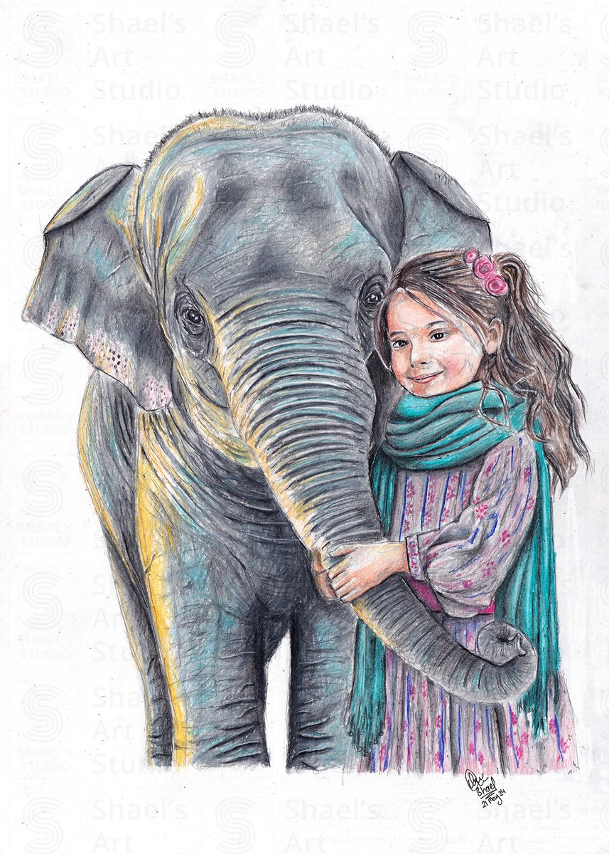 Shael's Art tweet media