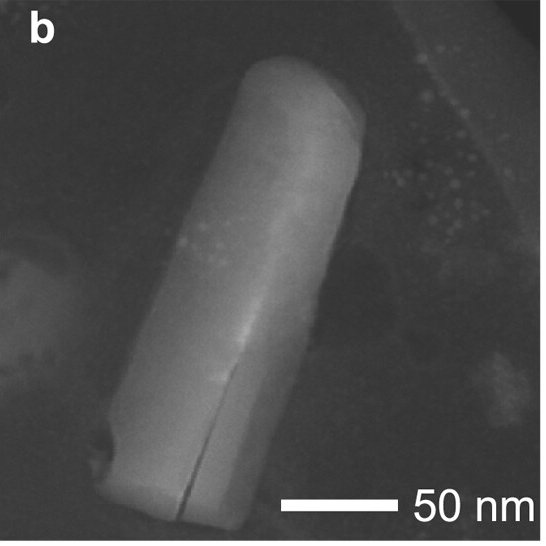 Joonas Virtasalo (@jvirtasa) on Twitter photo Magnetotactic bacteria in the Baltic Sea #ferromanganese concretions produce bullet-shaped magnetosomes. The magnetosomes are spherical or cubic in the oceanic ferromanganese nodules.
<a href="/SuomenAkatemia/">Suomen Akatemia | Research Council of Finland</a> #Fermaid project <a href="/JWasiljeff/">Joonas Wasiljeff</a>
<a href="/GTK_FI/">GTK</a> #marinegeology
agupubs.onlinelibrary.wiley.com/doi/10.1029/20… Magnetotactic bacteria in the Baltic Sea #ferromanganese concretions produce bullet-shaped magnetosomes. The magnetosomes are spherical or cubic in the oceanic ferromanganese nodules.
<a href="/SuomenAkatemia/">Suomen Akatemia | Research Council of Finland</a> #Fermaid project <a href="/JWasiljeff/">Joonas Wasiljeff</a>
<a href="/GTK_FI/">GTK</a> #marinegeology
agupubs.onlinelibrary.wiley.com/doi/10.1029/20…