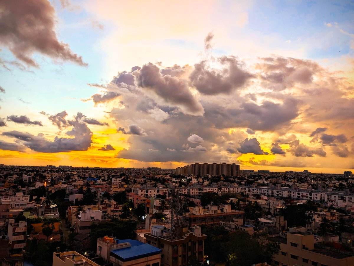 Natures Beauty from Vadapalani credits Nivesh #Chennai