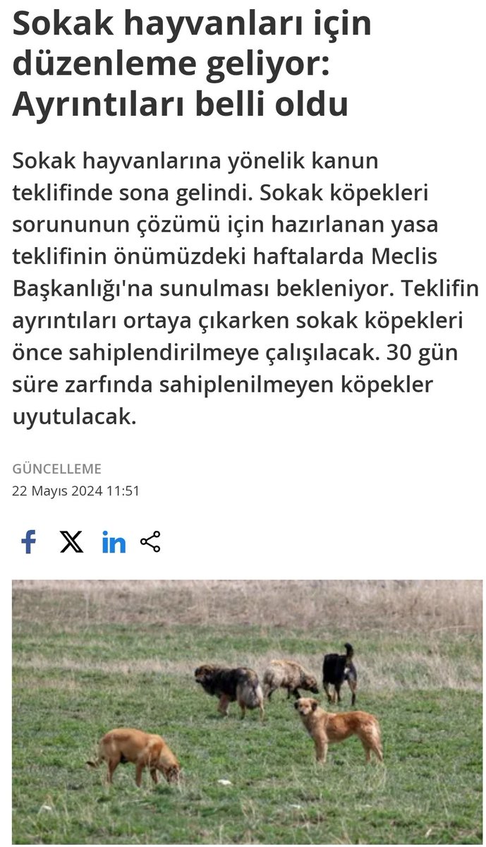 CanoDuman's tweet photo. Yeni yasa tasarısı tamamlandı ve yakında meclise sunulacak. Lütfen herkes bu yasanın geçmemesi için https://t.co/N3rRS6gv7K üzerinden dilekçe yazsın. Uzun yada kısa fark etmez, hayvanları olası bir katliamdan korumak için yazınız. https://t.co/lG0dlle6VZ