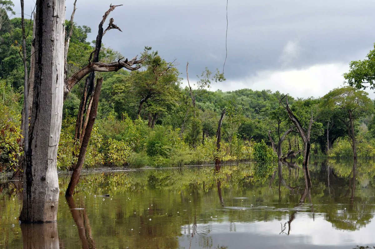 boell_eu's tweet photo. ๐ข Happy #BiodiversityDay! ๐๐ฆค๐ธ๐๐ซ๐ด๐ชผ๐๐๐คนโป๏ธ
Check out all our content on #biodiversity โก๏ธ https://t.co/61wXKEEy4Z
#EP2024 #EUGreenDeal #ClimateAction #SoilAtlas #peatlands #PeatlandAtlas #PesticideAtlas #MeatAtlas
@BoellStiftung @boell_oekologie @EU_ENV @IEEP_eu @Green_Europe @CANEurope @foeeurope @news_rapha @BUND_EU