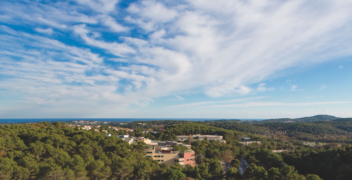 Sophia Antipolis consacrée au cœur de la Stratégie Nationale sur l'Intelligence Artificielle

En tant que Président de la Communauté d'Agglomération Sophia Antipolis, je me réjouis des récentes annonces gouvernementales concernant la Stratégie Nationale sur l'Intelligence