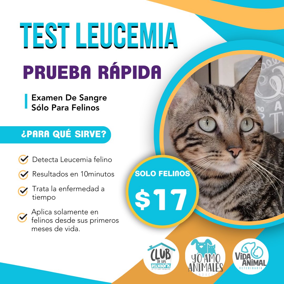 La Leucemia es una enfermedad que solo se da en gatos , detectarla a tiempo nos ayuda a tratarla y darle calidad de vida al animal .
Detecta a tiempo y prolonga su vida .
Servicio que puedes encontrar en nuestras brigadas médicas!
También contamos con la vacuna valor $17