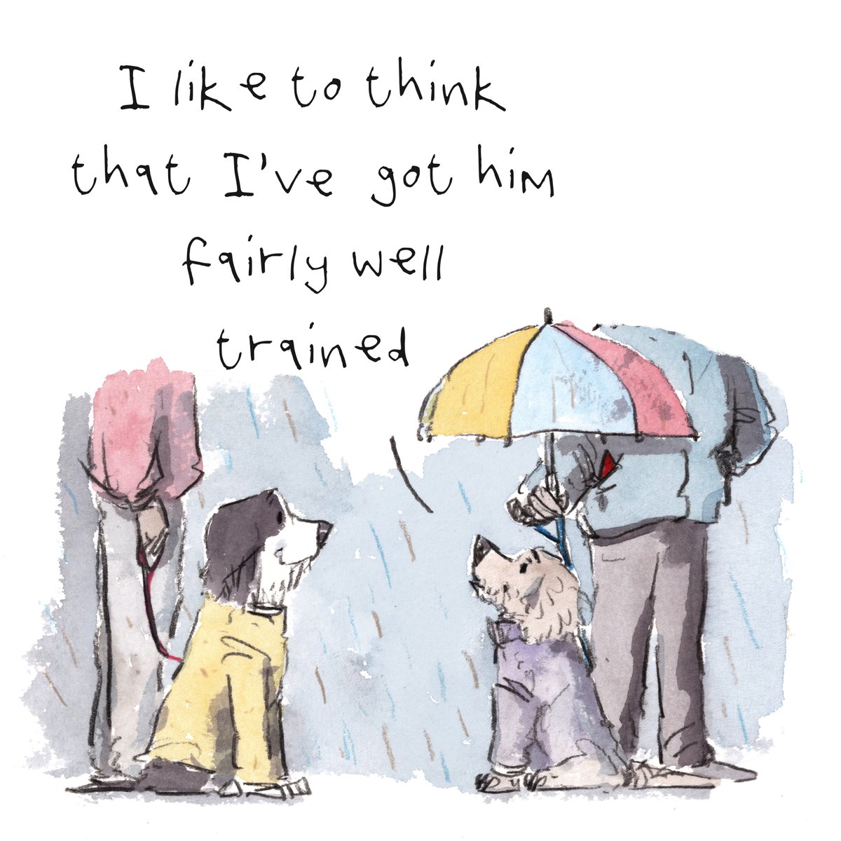 I hope that you are having a really fab day so far, lovely people and lovely dogs.
It is a little rainy here.
I'm wishing you the very best for the rest of your day.
#hoorayfordogs #umbrella #rainyday