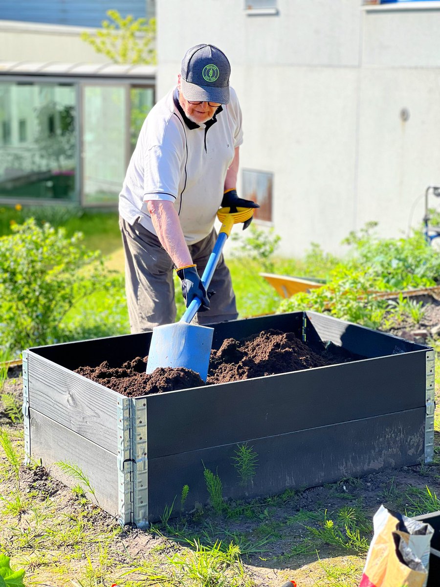 foibekartano's tweet photo. Pentti laittaa kasvatuslaatikot valmiiksi istutuksia varten. #yhteisöpuutarha #kasvimaa #Foibekartano #talkoot https://t.co/KrFqv4dP0l
