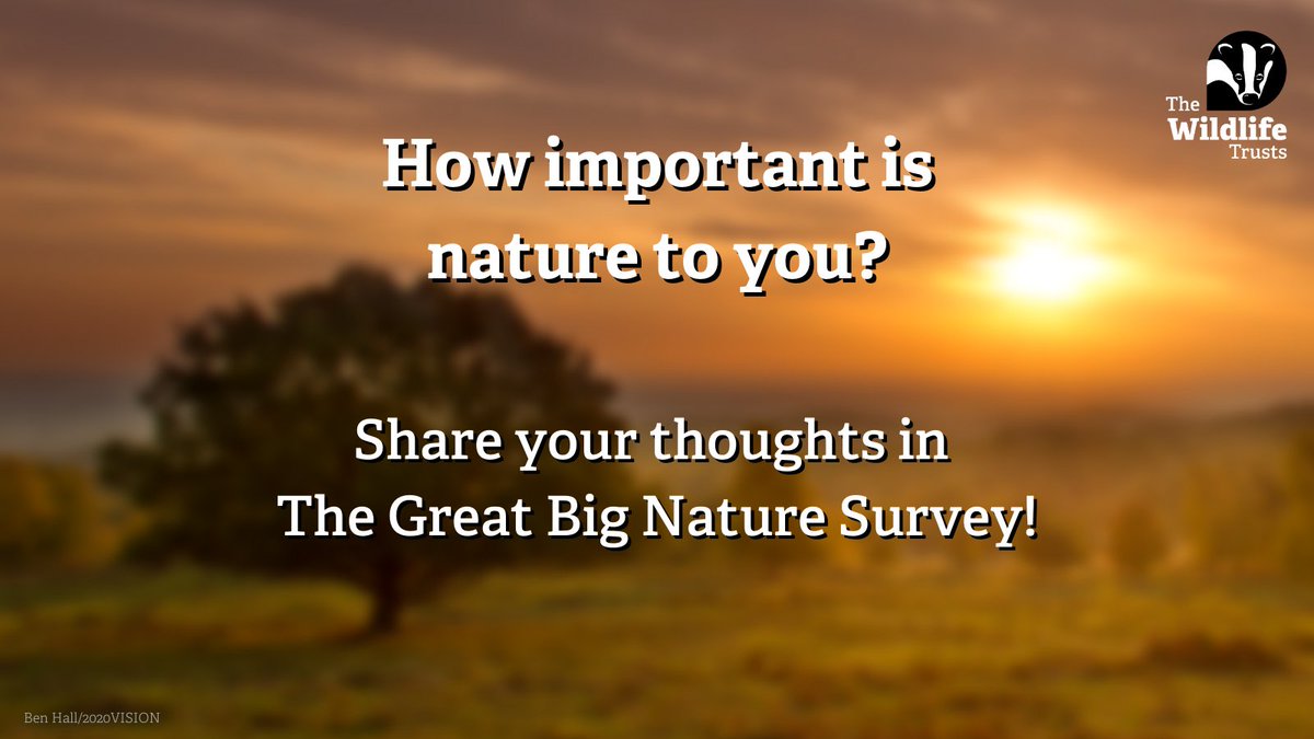 WildlifeTrusts's tweet photo. We launched The Great Big Nature Survey, designed to give you a say on nature and wildlife. 💚

How often do you get out into nature? 
How important is nature to you? 

We want to know your views on all this and more! 💪 https://t.co/B3nE0F5u7x https://t.co/jEUifKmc0h