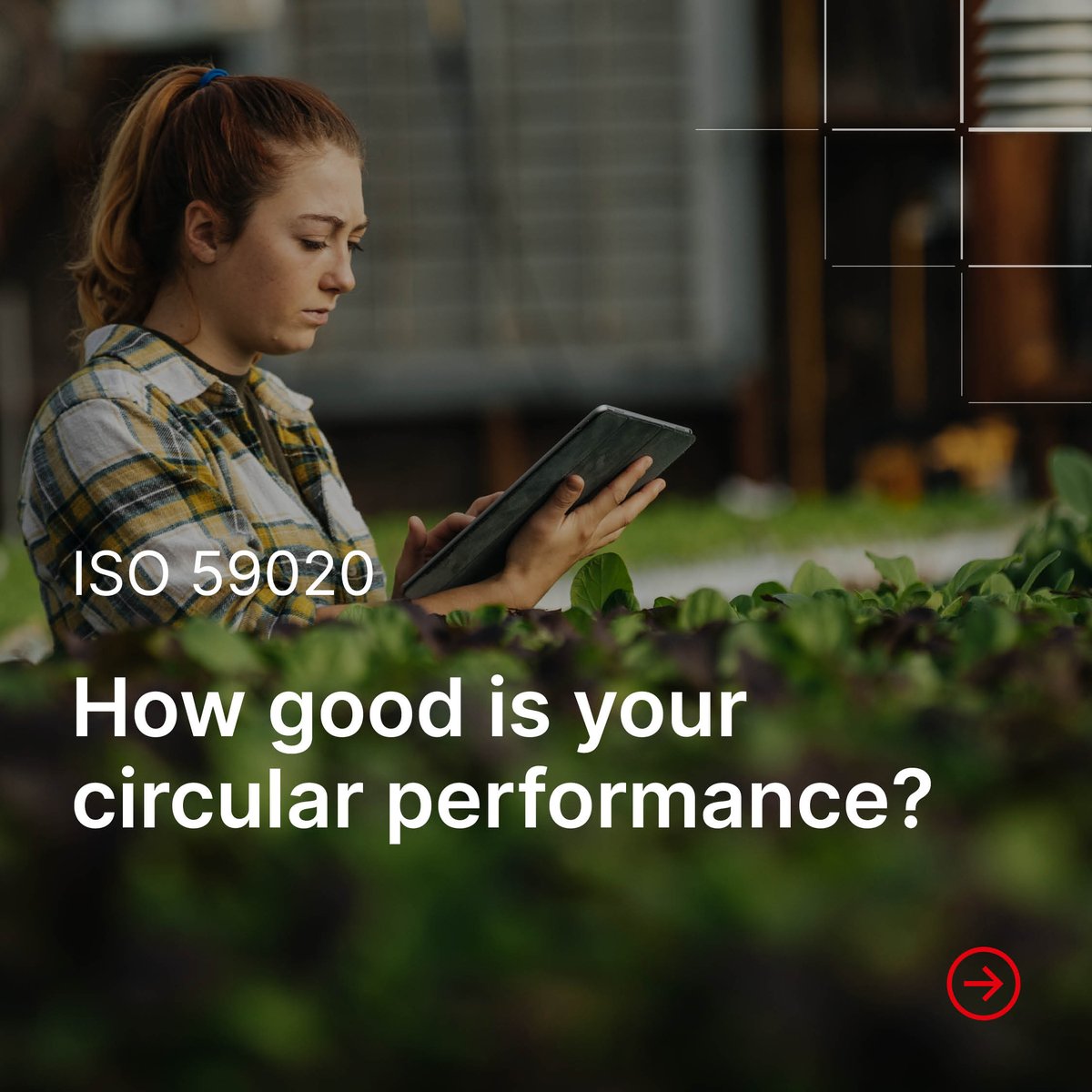 🚀 Exciting news, we’re proud to announce the release of ISO 59004, ISO 59010 and ISO 59020!

With the expertise from 75 countries, these groundbreaking standards provide a complete toolkit for achieving a #CircularEconomy.

⬇️ Explore what each has to offer ⬇️
