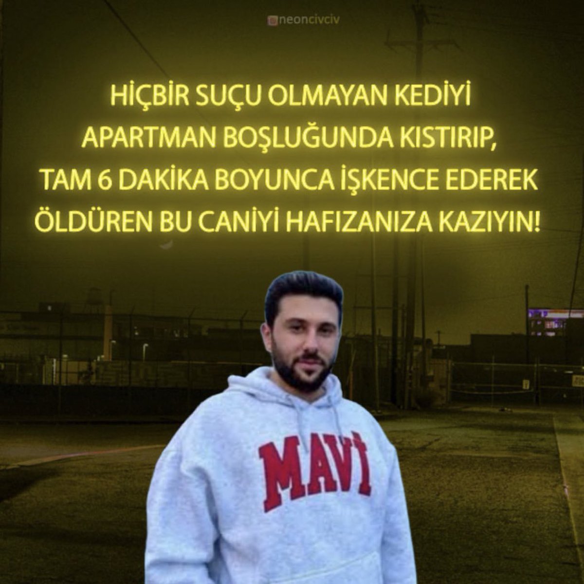 Savunmasız bir kediyi 6 dakika boyunca tekmeleyerek katleden Keloğlan toplumda sizlerle beraber . Hangi güvenden bahsediyorsunuz siz ? 
#erosiçinadalet 
#SokakHayvanlarıSahipsizDeğil
