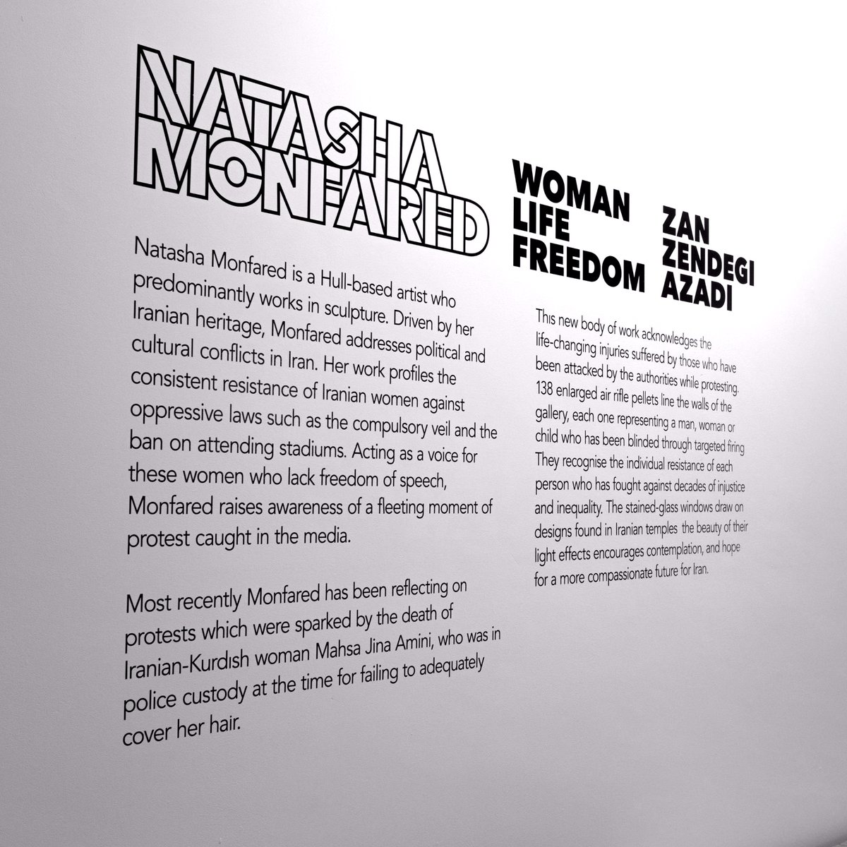 Passionate about local artists? Us too! At Artlink Hull, we shine a spotlight on our city's incredible talent. Check out @87gallery for @NatashaMakesArt powerful exhibition, 'Woman Life Freedom'. #SupportLocalArtists #ArtLinkHull