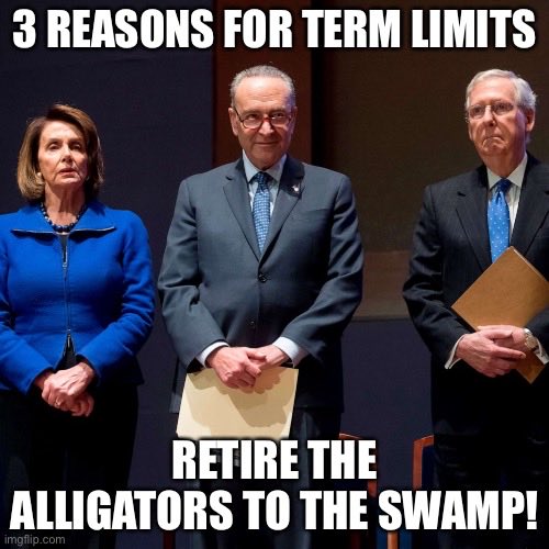 I’ve seen enough of Nancy Pelosi, Chuck Schumer, and Mitch McConnell. How about you?