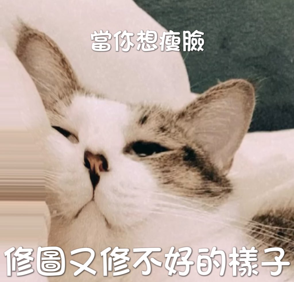 修到認不出來～
#只有胖貓受傷的世界達成了 https://t.co/fDlDs7HA1I