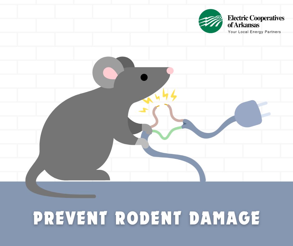 Rodents 🐭 + electrical wiring 🔌 = fire 🔥. Don't let furry intruders create havoc! Seal cracks and holes in your home with spray foam or masonry repair to keep critters out. #electricalsafety