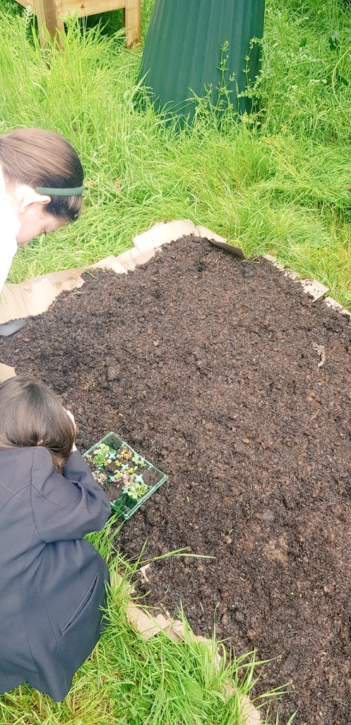 ESJ Eco-Team tweet media