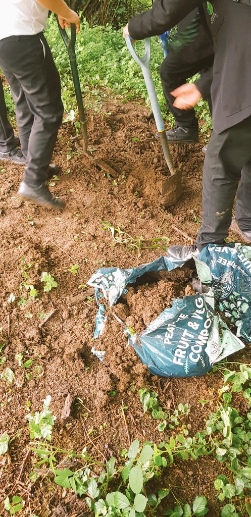 🌱 Eco-Team has been out this week creating veg beds and planting seedlings on the ESJ Farm Project! Thanks to all who have taken part and supported this endeavour at the recent bake sale. 🌱