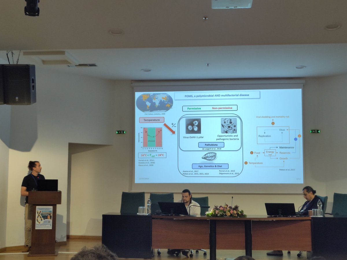 Another Oyster 🦪 presentation, by Léo Duperrey from <a href="/Ifremer_fr/">Ifremer 🌊</a> showing that at high temperature (30°!) a less efficient metabolism and a higher immune response create a less permissive condition for oyster infection to POMS