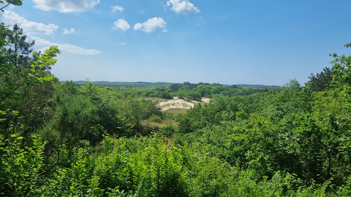 caravanliving's tweet photo. Popular misconception that the Netherlands are flat! I beg to differ! Out in the dunes!!! https://t.co/KLOtIru4gu