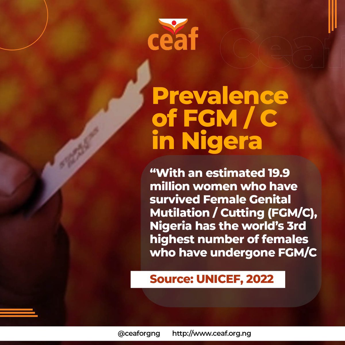 According to UNICEF, Nigeria has the world’s 3rd highest number of females who have undergone Female Genital Mutilation/Cutting (FGM/C). To #EndFGM we need to do more as together.

Report cases of FGM/C via our user friendly website here ceaf.org.ng/report-abuse/

#ceaforgng