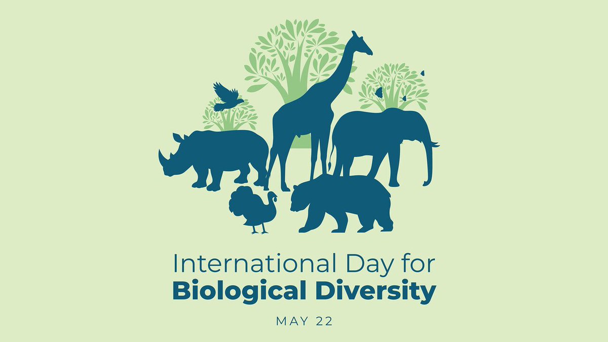 Celebrating the International Day for Biological Diversity! 🌍 Let's protect our planet's incredible diversity and ensure a sustainable future for all. #BiodiversityMatters #ProtectOurPlanet #EcoAwareness