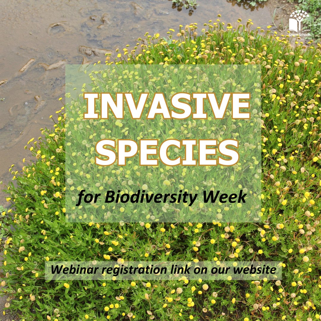 What are #InvasiveSpecies and why are they a threat?!

Join our #BiodiversityWeek webinar with Liane from @CleanCoasts, Aengus from Green-Schools and Martha Feely- @IrelandYre winner for her excellent research project on Flatworms at 11 am today.

➡️buff.ly/3V4wIDd